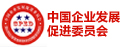 中國(guó)企業(yè)促進(jìn)發(fā)展委員會(huì)